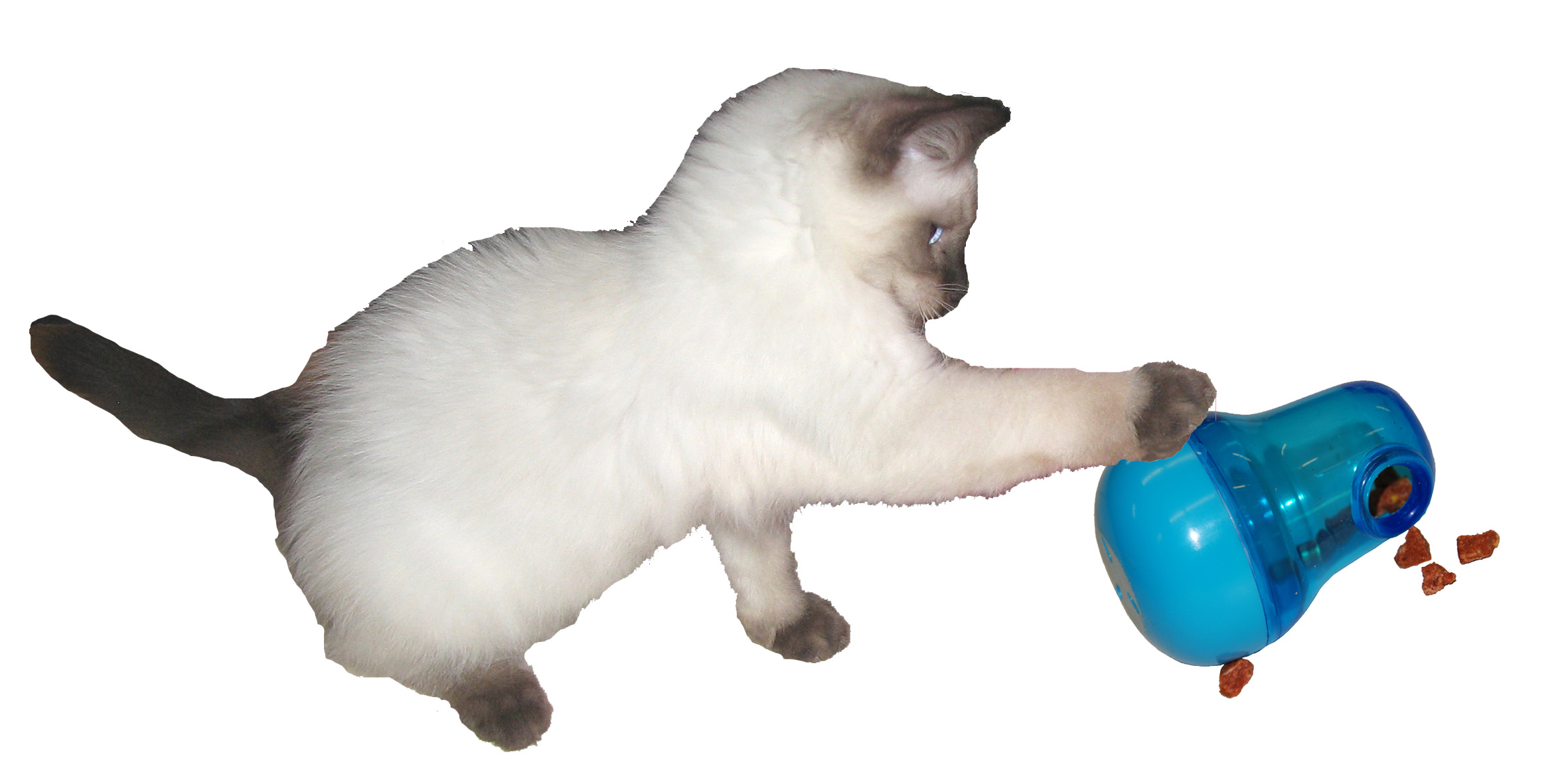 Nina Ottosson Dog Activity Toy Nina Ottosson Dog Activity Toy